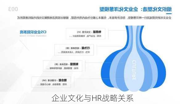 企业文化与HR战略关系