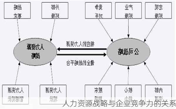 人力资源战略与企业竞争力的关系
