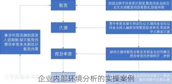 企业内部环境分析的实操案例