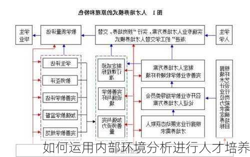 如何运用内部环境分析进行人才培养
