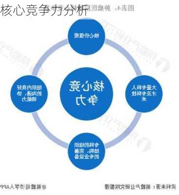 核心竞争力分析
