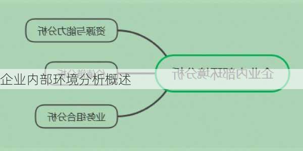 企业内部环境分析概述