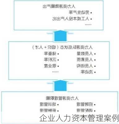 企业人力资本管理案例
