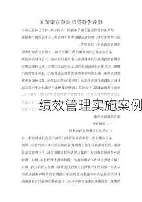 绩效管理实施案例