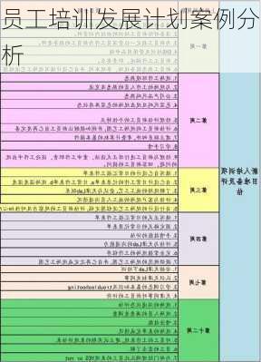 员工培训发展计划案例分析