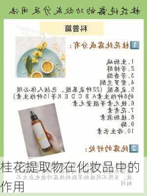 桂花提取物在化妆品中的作用
