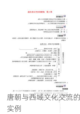 唐朝与西域文化交流的实例