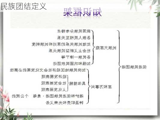 民族团结定义