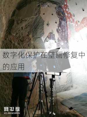 数字化保护在壁画修复中的应用