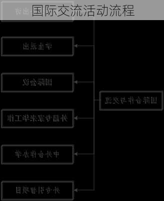 国际交流活动流程