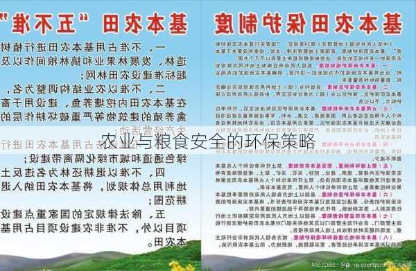 农业与粮食安全的环保策略
