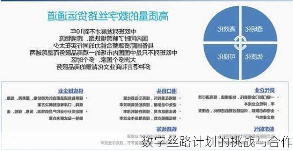数字丝路计划的挑战与合作