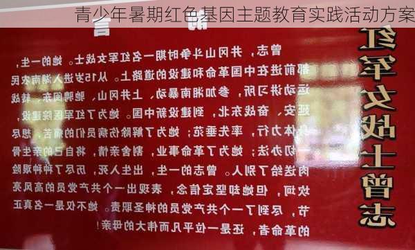 青少年暑期红色基因主题教育实践活动方案