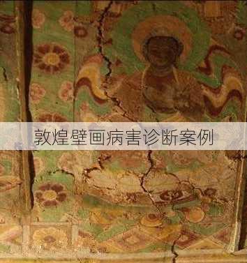 敦煌壁画病害诊断案例