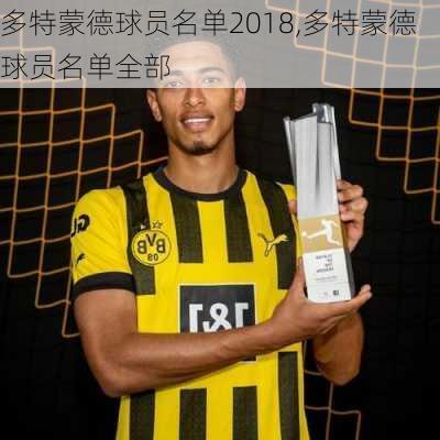多特蒙德球员名单2018,多特蒙德球员名单全部