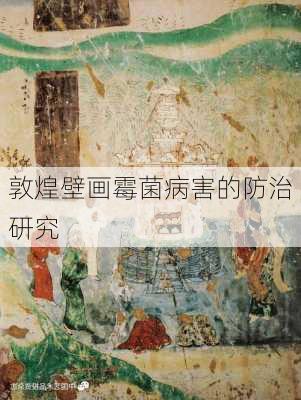 敦煌壁画霉菌病害的防治研究