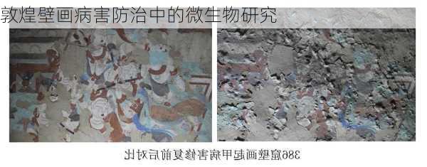敦煌壁画病害防治中的微生物研究