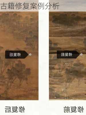 古籍修复案例分析