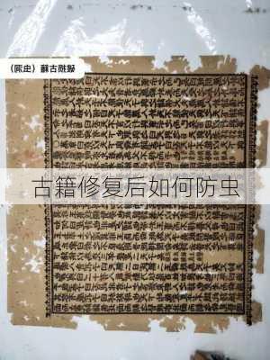 古籍修复后如何防虫