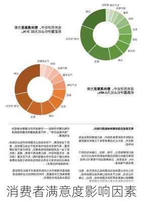 消费者满意度影响因素