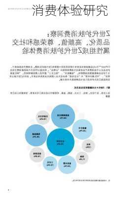 消费体验研究