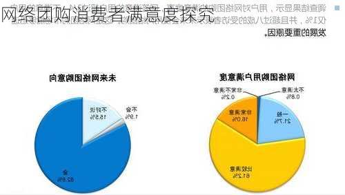 网络团购消费者满意度探究