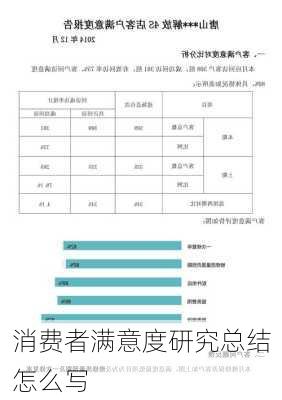 消费者满意度研究总结怎么写