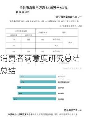 消费者满意度研究总结总结