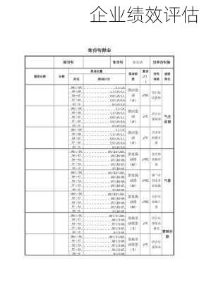 企业绩效评估