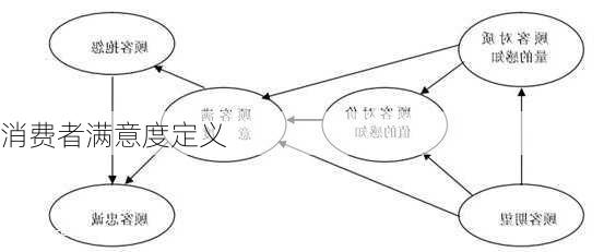 消费者满意度定义