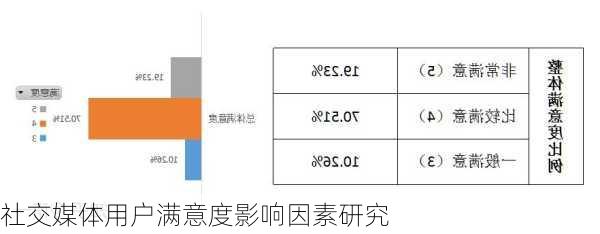 社交媒体用户满意度影响因素研究