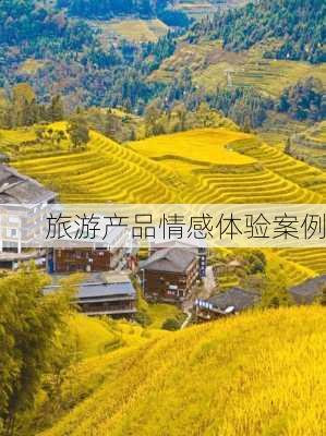 旅游产品情感体验案例