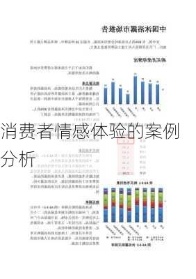 消费者情感体验的案例分析