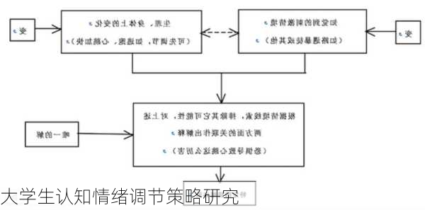 大学生认知情绪调节策略研究