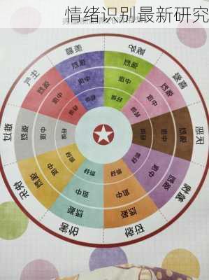 情绪识别最新研究