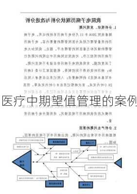 医疗中期望值管理的案例