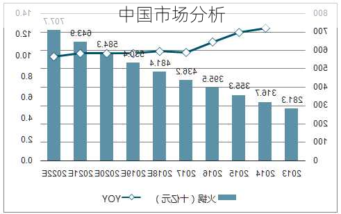 中国市场分析