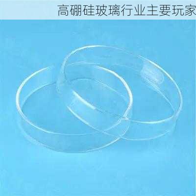 高硼硅玻璃行业主要玩家