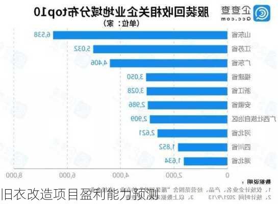 旧衣改造项目盈利能力预测