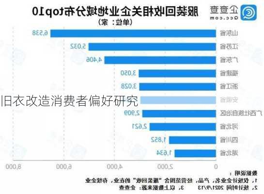 旧衣改造消费者偏好研究