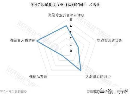 竞争格局分析
