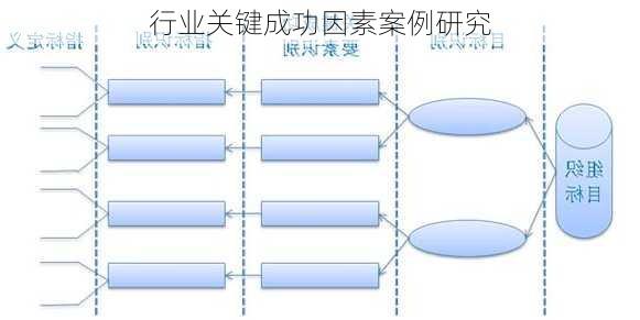 行业关键成功因素案例研究