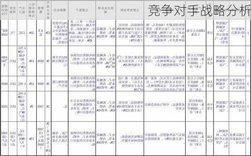 竞争对手战略分析