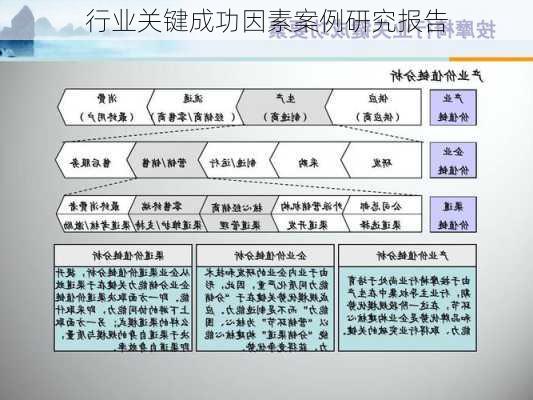 行业关键成功因素案例研究报告