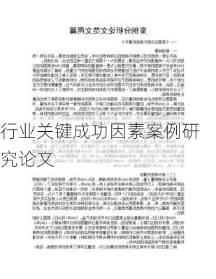 行业关键成功因素案例研究论文