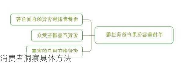 消费者洞察具体方法