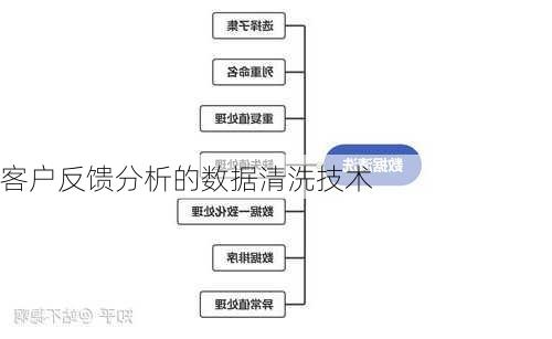 客户反馈分析的数据清洗技术
