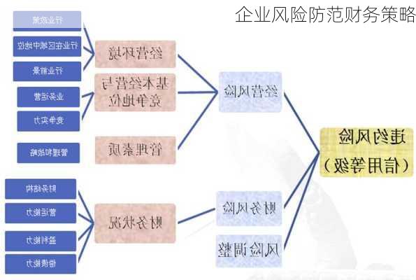 企业风险防范财务策略