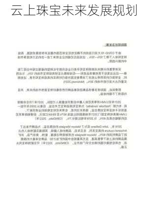 云上珠宝未来发展规划