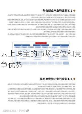 云上珠宝的市场定位和竞争优势